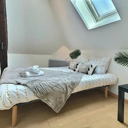 Sejour Pro Ou Detente - Lumineux Proche Centre De Troyes, Wifi Debit, Cuisine Equipee Lägenhet