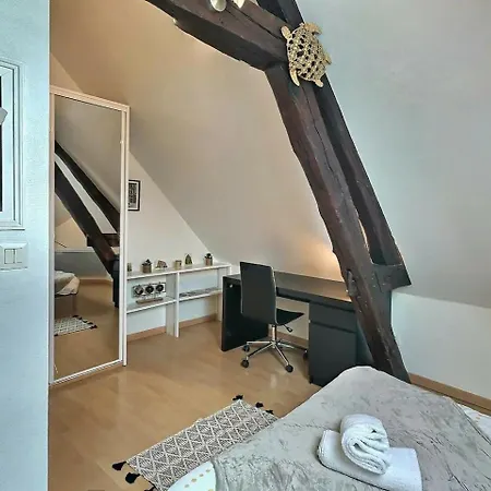 Apartment Le Travel - Equipe Proche Centre Et Yschools *