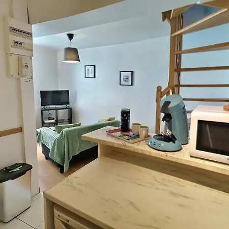 Sejour Pro Ou Detente - Lumineux Proche Centre De Troyes, Wifi Debit, Cuisine Equipee Lägenhet *