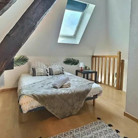 Lägenhet Sejour Pro Ou Detente - Lumineux Proche Centre De Troyes, Wifi Debit, Cuisine Equipee *