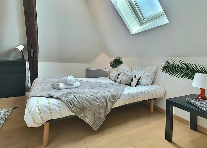 Sejour Pro Ou Detente - Lumineux Proche Centre De Troyes, Wifi Debit, Cuisine Equipee Apartamento