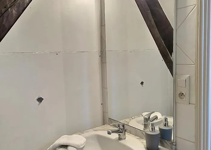 Sejour Pro Ou Detente - Lumineux Proche Centre De Troyes, Wifi Debit, Cuisine Equipee * Troyes