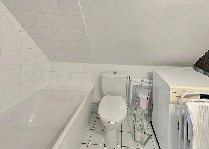 Apartamento Sejour Pro Ou Detente - Lumineux Proche Centre De Troyes, Wifi Debit, Cuisine Equipee Troyes