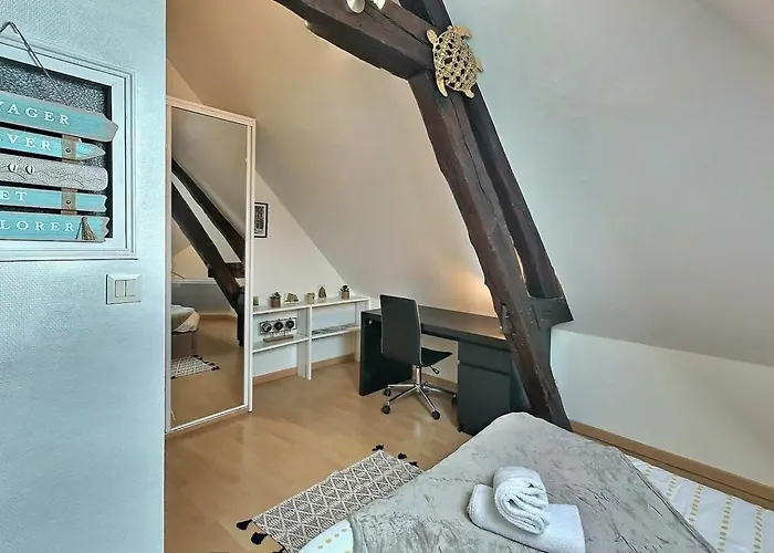 Apartamento Sejour Pro Ou Detente - Lumineux Proche Centre De Troyes, Wifi Debit, Cuisine Equipee *