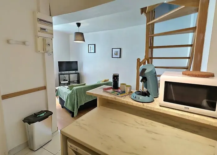 Sejour Pro Ou Detente - Lumineux Proche Centre De Troyes, Wifi Debit, Cuisine Equipee Apartamento *